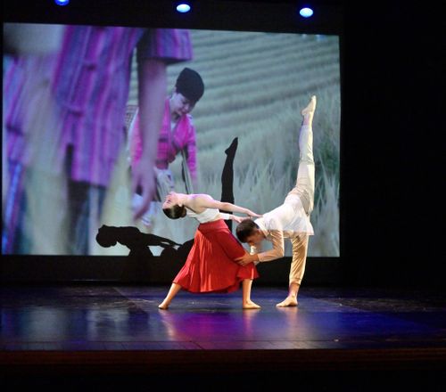 NTA Dance School - Scuola di Danza - Trento