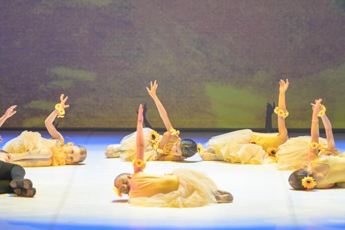 NTA Dance School - Scuola di Danza - Trento