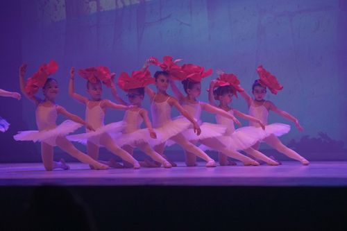 Propedeutica 2 a SETTORE DANZA CLASSICO 