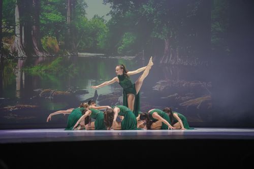 NTA Dance School - Scuola di Danza - Trento