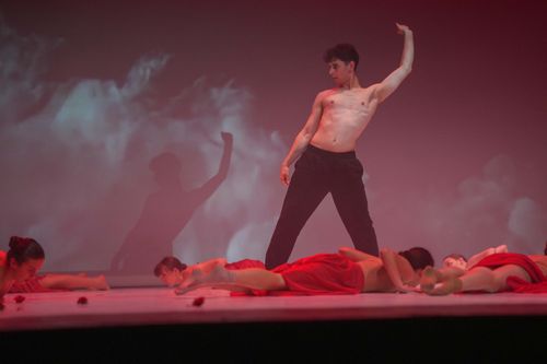 NTA Dance School - Scuola di Danza - Trento