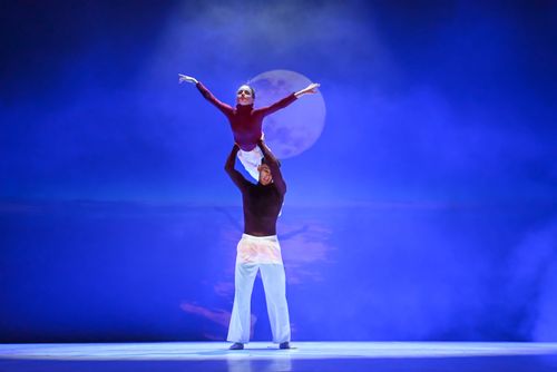 NTA Dance School - Scuola di Danza - Trento
