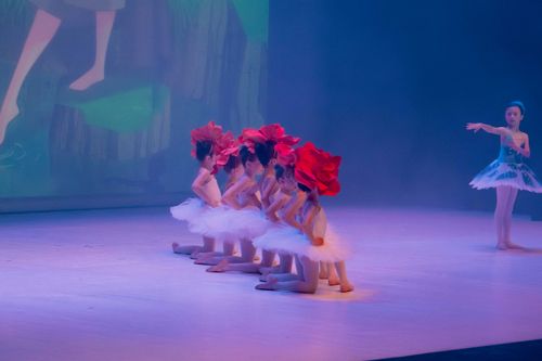 NTA Dance School - Scuola di Danza - Trento