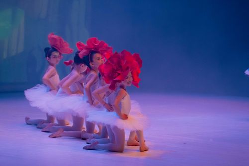 NTA Dance School - Scuola di Danza - Trento