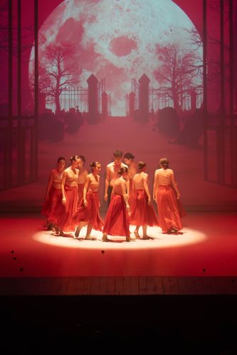NTA Dance School - Scuola di Danza - Trento